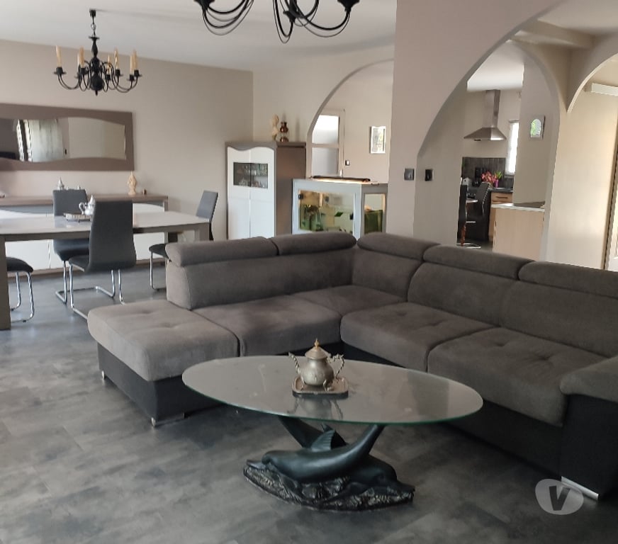 Vente Maison Vendée Ste Foy - 85150 - Photos Vivastreet MAISON DE 167M2 AVEC PISCINE