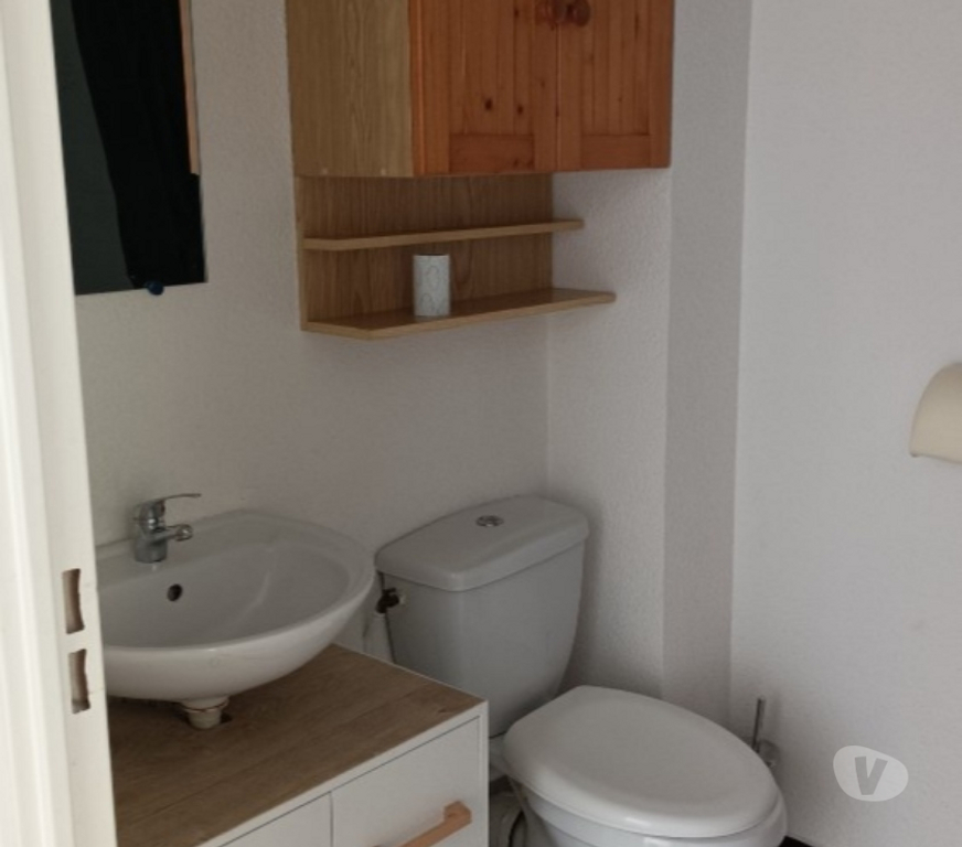 Appartement meublé Pyrénées-Orientales Perpignan - Photos Vivastreet Appartement F2 meublé Quartier Université