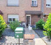 maison de ville