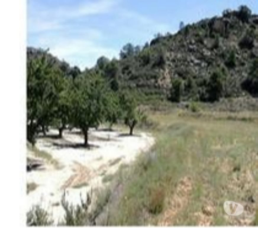 Terrain à vendre Espagne - Photos Vivastreet 1 euro par mètre carré.....Aragon Espagne