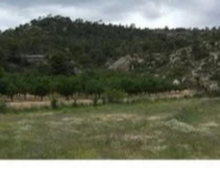 Terrain à vendre Espagne - Photos Vivastreet 1 euro par mètre carré.....Aragon Espagne