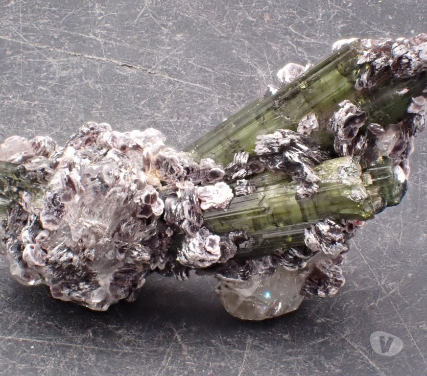 Collection Meurthe-et-Moselle Bertrichamps - 54120 - Photos Vivastreet Tourmaline Elbaïte Verdélite Lépidolite Minas Gerais