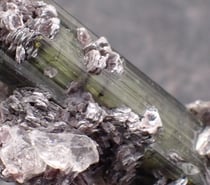 Photos Vivastreet Tourmaline Elbaïte Verdélite Lépidolite Minas Gerais