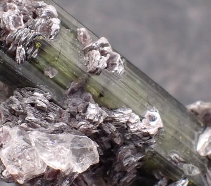 Collections Bertrichamps Meurthe-et-Moselle - Photos Vivastreet Tourmaline Elbaïte Verdélite Lépidolite Minas Gerais