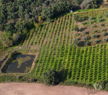 Terres Agricoles - Photos Vivastreet Verger Constructible pour 2 Villas - 5Ha - Cadre Enchanteur