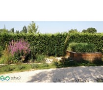 Photos Vivastreet Phytoépuration Inphyto de 3 à 18EH