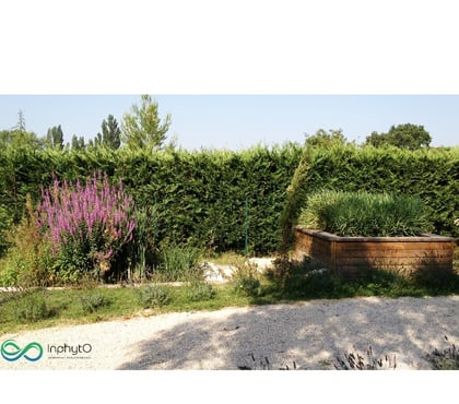  Change Sarthe - Photos Vivastreet Phytoépuration Inphyto de 3 à 18EH
