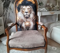 Photos Vivastreet fauteuil relooké