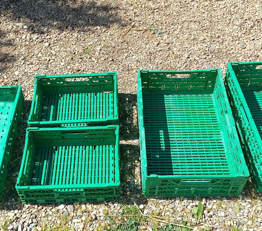 Var Pierrefeu du Var - 83390 - Photos Vivastreet CAISSES PLASTIQUES VERTES IFCO