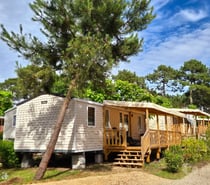 mobilhome cap ferret