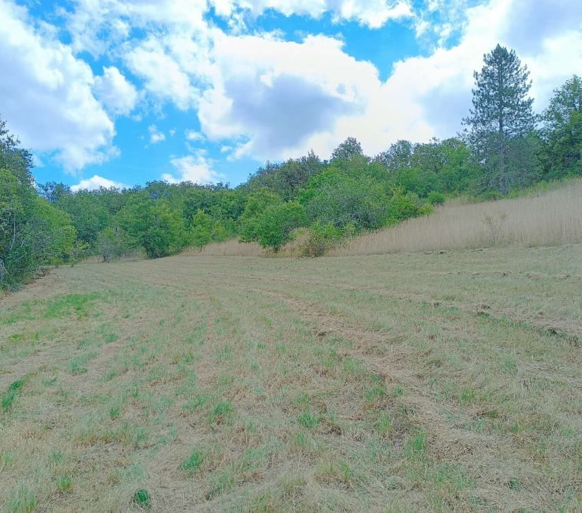 Vente Terrain Calamane Lot - Photos Vivastreet Grand terrain de 15700 m² au calme