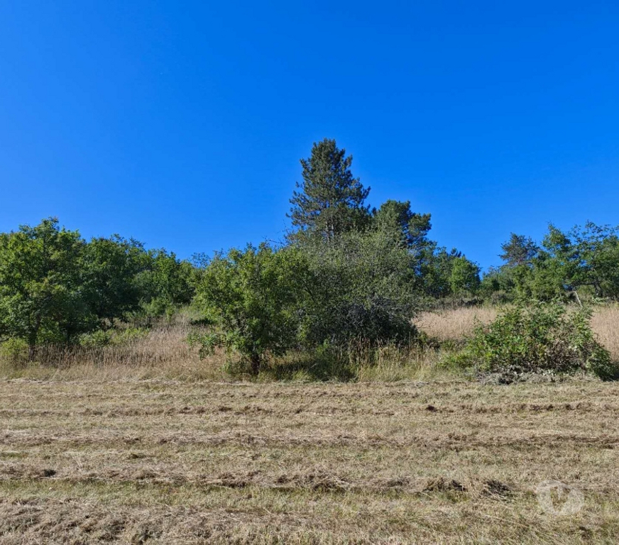Terrain à vendre Lot Calamane - 46150 - Photos Vivastreet Grand terrain de 15700 m² au calme