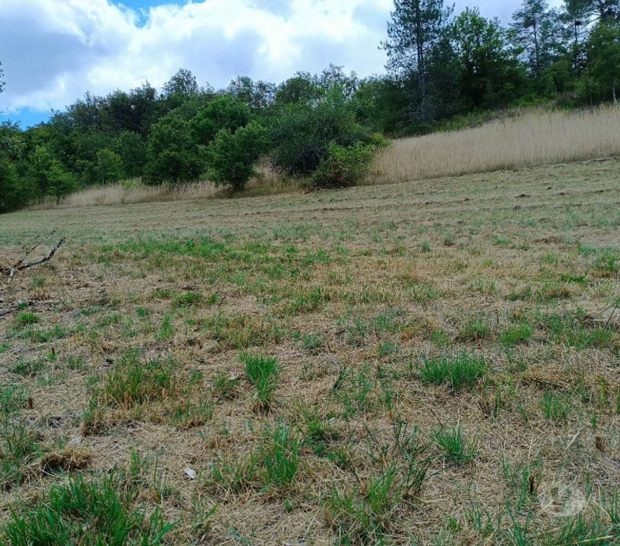 Terrain à vendre Lot Calamane - 46150 - Photos Vivastreet Grand terrain de 15700 m² au calme