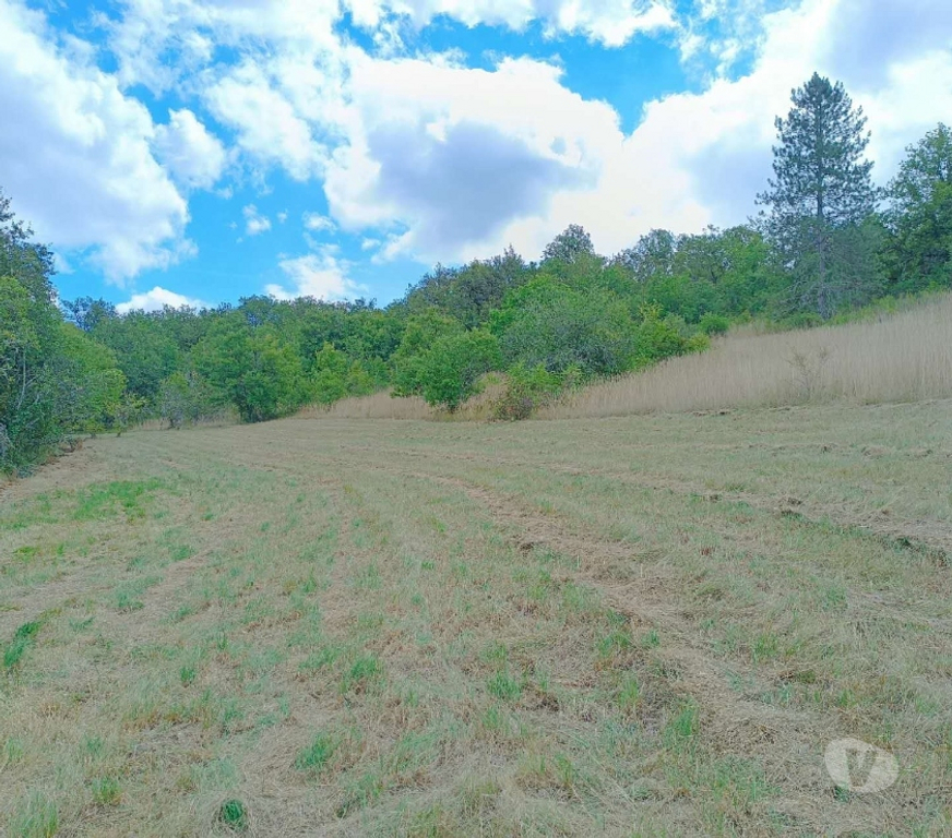 Terrain à vendre Lot Calamane - 46150 - Photos Vivastreet Grand terrain de 15700 m² au calme