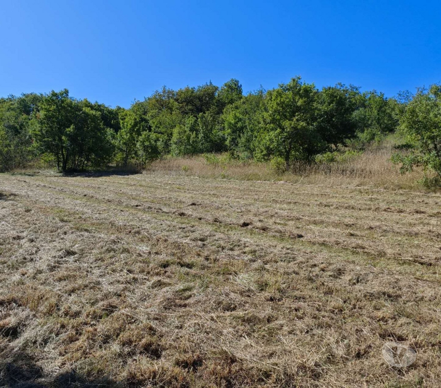 Terrain à vendre Lot Calamane - 46150 - Photos Vivastreet Grand terrain de 15700 m² au calme