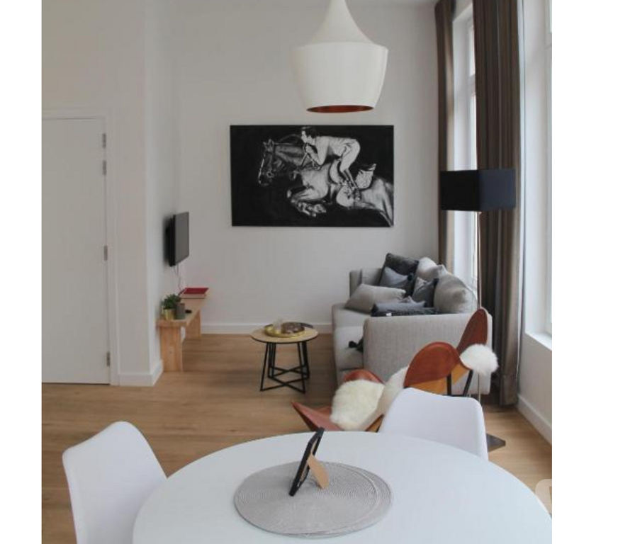 Appartement meublé Loiret Orleans - Photos Vivastreet T2 entièrement refait à neuf et meublé