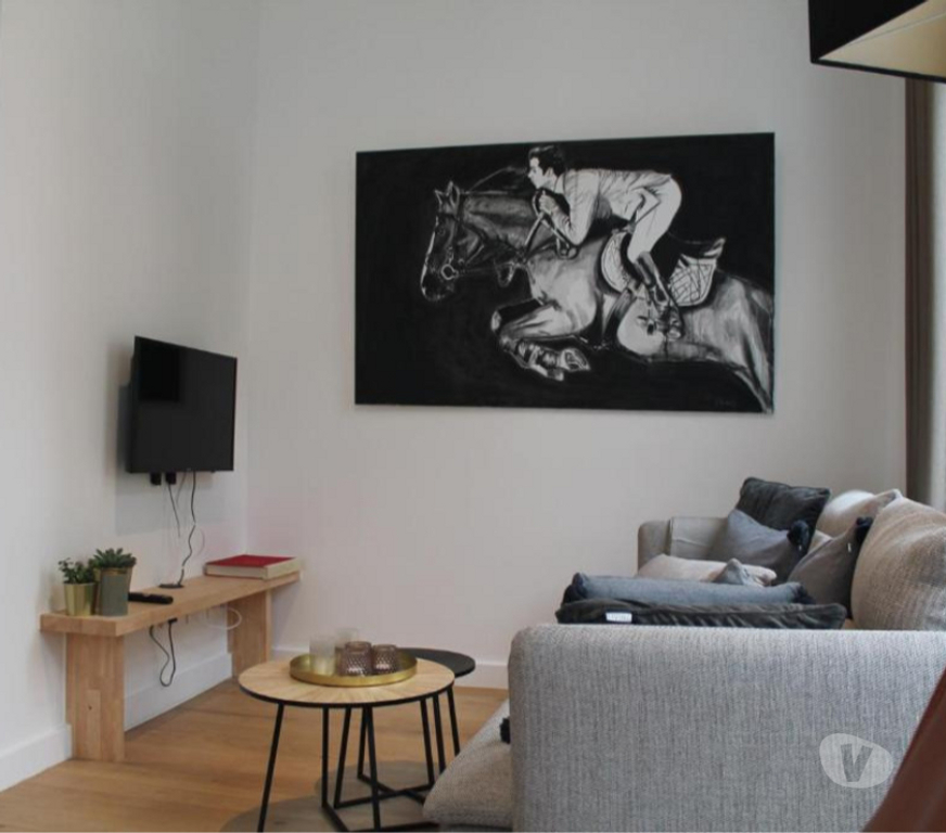 Appartement meublé Loiret Orleans - Photos Vivastreet T2 entièrement refait à neuf et meublé