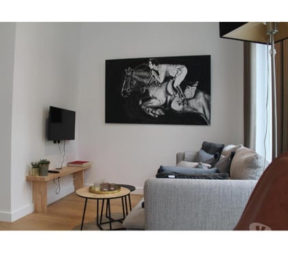 Appartement meublé Orleans Orleans - Photos Vivastreet T2 entièrement refait à neuf et meublé