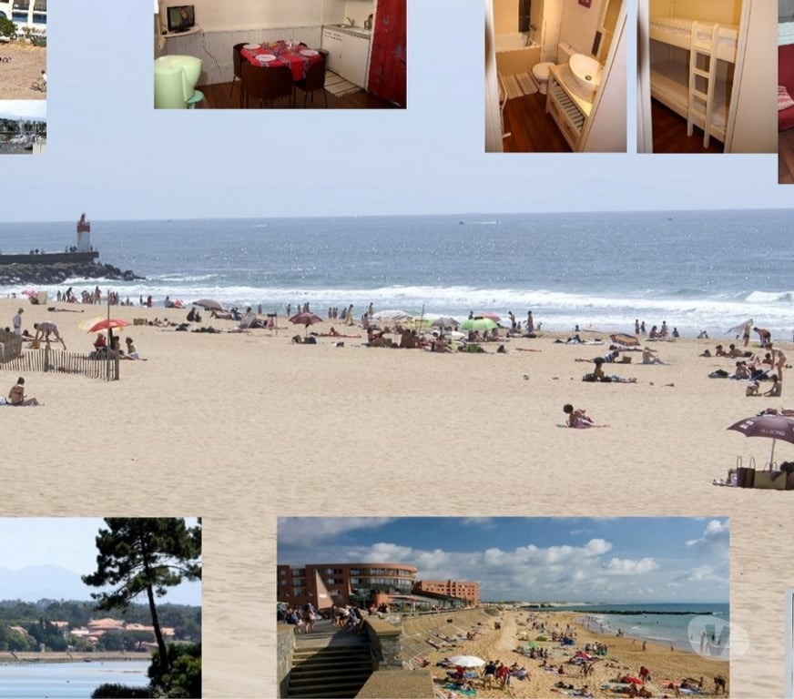 location saisonniere Landes Capbreton - 40130 - Photos Vivastreet PORT CAPBRETON T1B 2 Pièces 3 couch. AOUT 680 € S