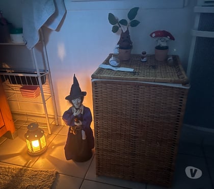 Gardes d'enfants Mortagne sur Sevre Vendée - Photos Vivastreet Je suis un Babysitter expérimenté
