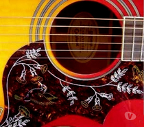 donne cours de guitare à domicile