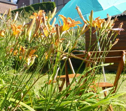 Locations vacances Neuville les Dieppe Dieppe - Photos Vivastreet 9-16 août Dieppe, studio 2 pers, wifi, jardin, barbecue