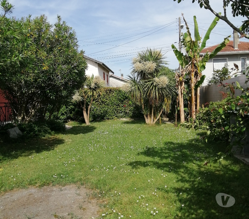 Location maison Hautes-Pyrénées Tarbes - 65000 - Photos Vivastreet Maison F4 à Tarbes