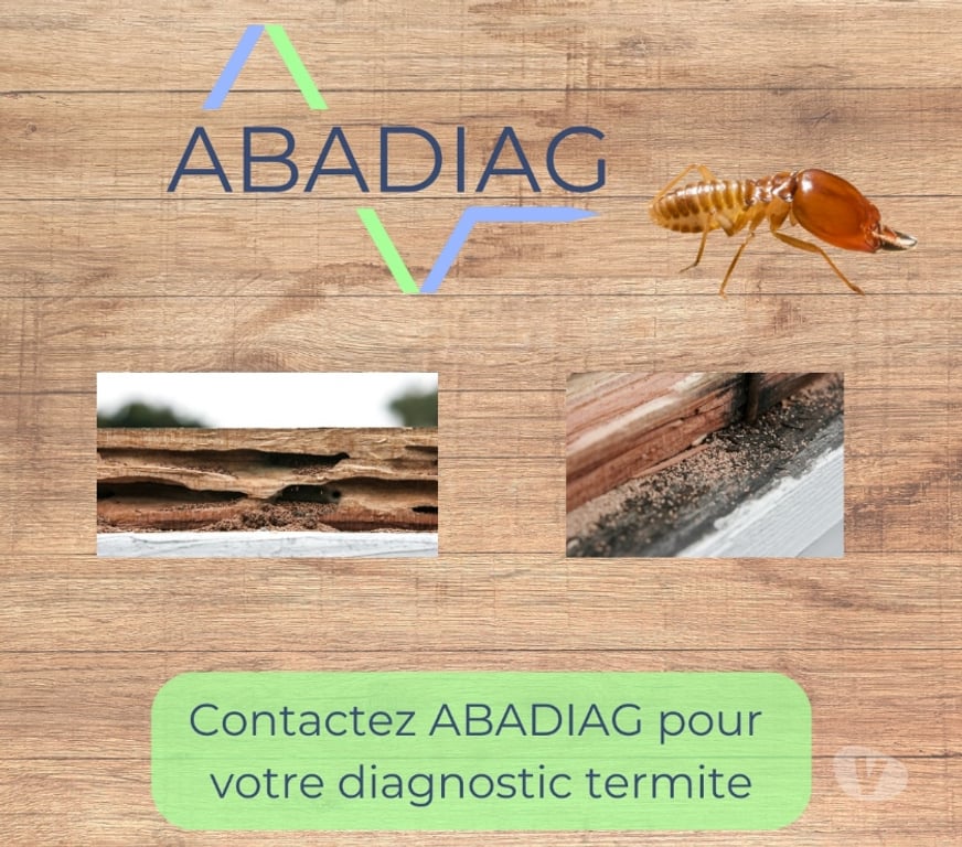 Service immobilier Hérault Montpellier - Photos Vivastreet Diagnostiqueur immobilier