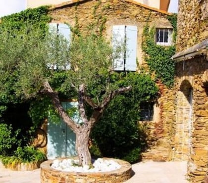 Vente Terres Agricoles Gassin Var - Photos Vivastreet propriete agricole Gassin Grimaud saint Tropez