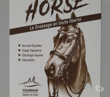 Services, accessoires - autres Prety Saône-et-Loire - Photos Vivastreet ACCUEIL ÉQUIDÉS