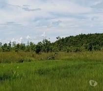 TERRAIN DE 4,84 HECTARES À VENDRE – FARAHALANA, SAMBAVA