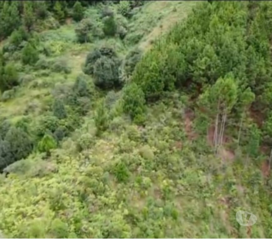 Terrain à vendre Madagascar - Photos Vivastreet TERRAIN D’EXCEPTION – 9 HECTARES À MANDRAKA
