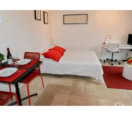 Appartements meublés Lyon Lyon - Photos Vivastreet Appartement meublé 20m² Lyon 3