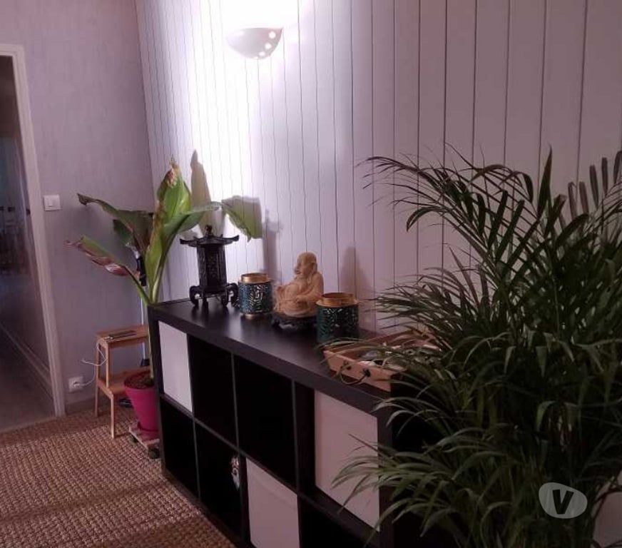 Colocations Rhône Villeurbanne - 69100 - Photos Vivastreet Villeurbanne La Doua - Colocation meublée