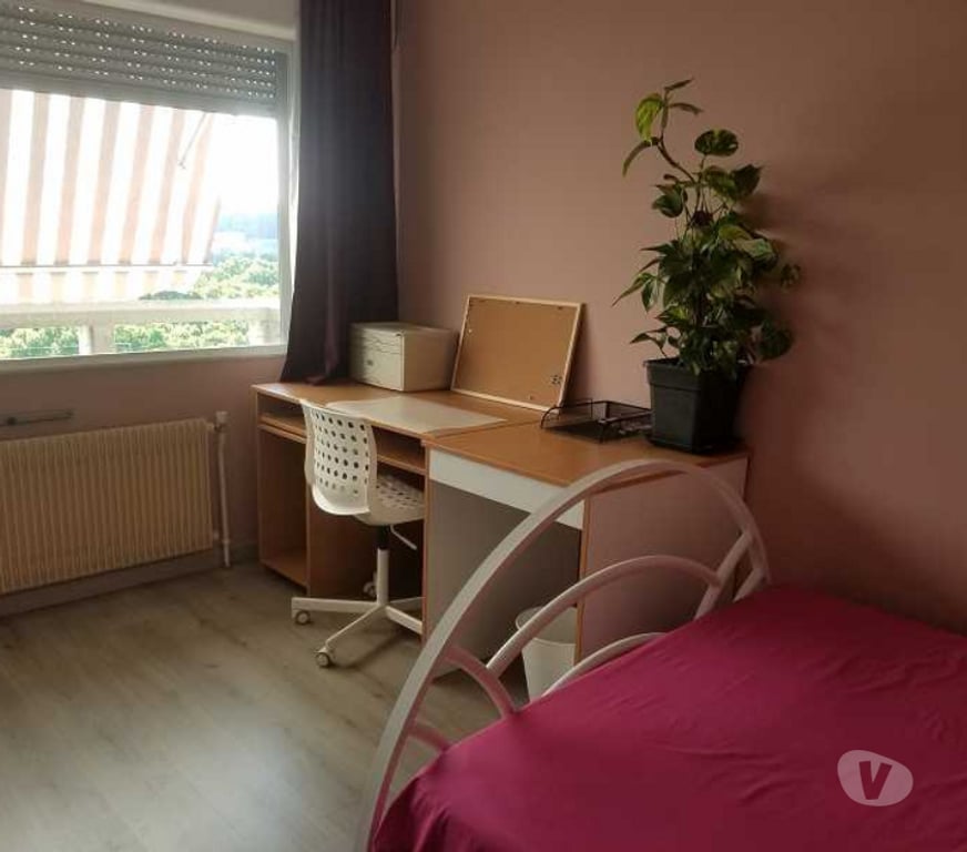 Colocations Rhône Villeurbanne - 69100 - Photos Vivastreet Villeurbanne La Doua - Colocation meublée