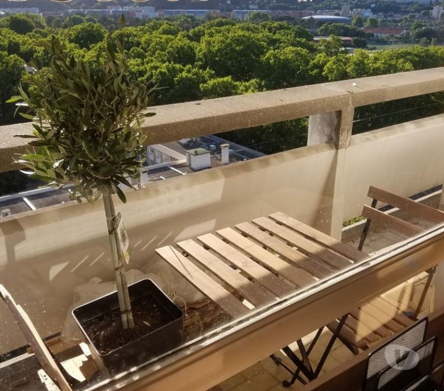 Colocations Rhône Villeurbanne - 69100 - Photos Vivastreet Villeurbanne La Doua - Colocation meublée