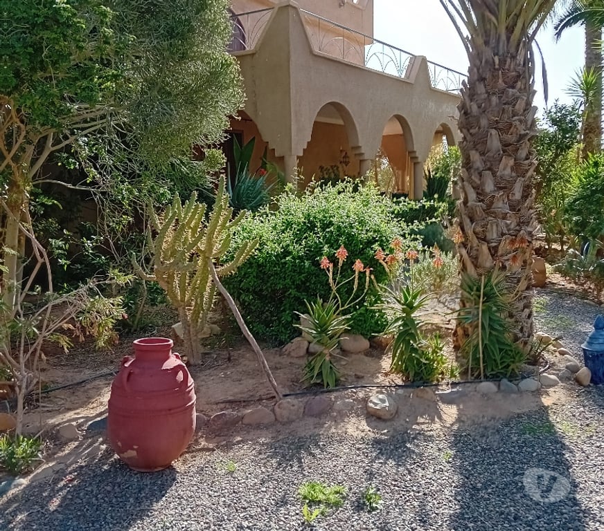 Vente Maison Maroc - Photos Vivastreet belle villa a Taroudant