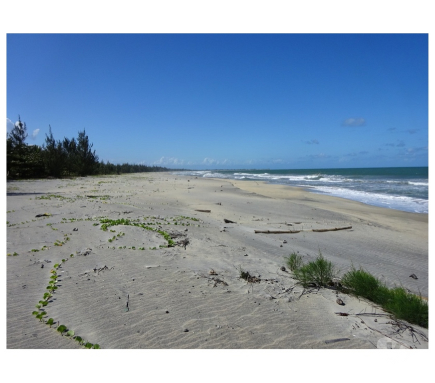Vente Maison Madagascar - Photos Vivastreet Mahambo villa meublée, bord de la mer, accessible, 9500m2