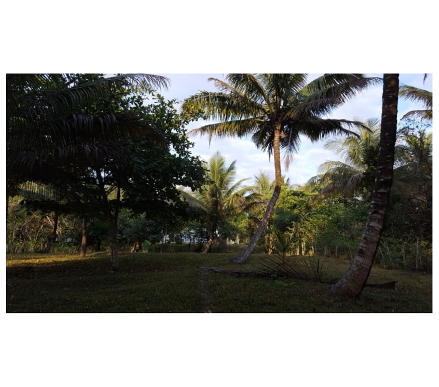 Vente Maison Madagascar - Photos Vivastreet Mahambo villa meublée, bord de la mer, accessible, 9500m2