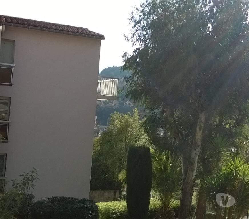 location saisonniere Pyrénées-Orientales Amelie les Bains Palalda - 66110 - Photos Vivastreet T2 terrasse SUD à 5 min thermes cure octobre