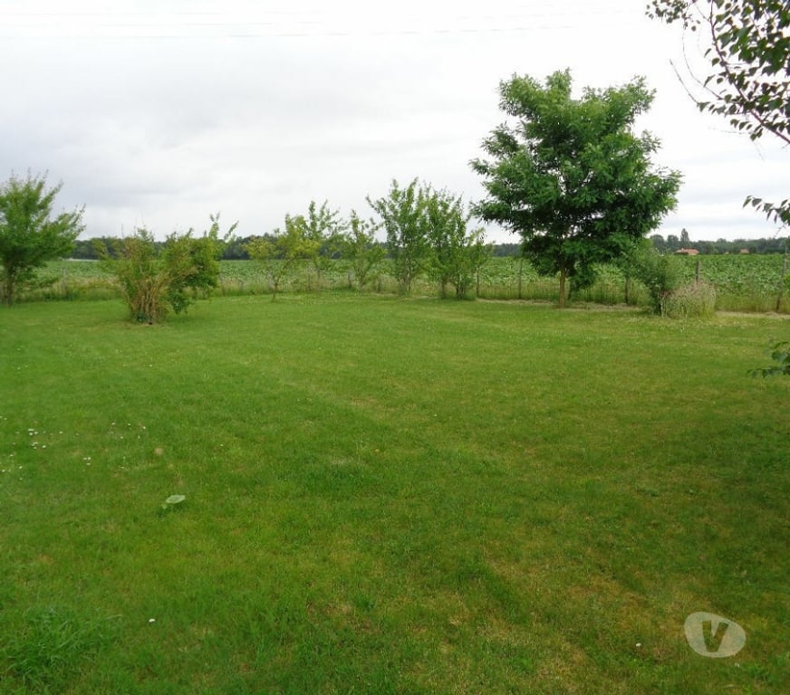 Location maison Indre-et-Loire Marcay - 37500 - Photos Vivastreet Maison 5 pièces 148 m² 37500 Marçay