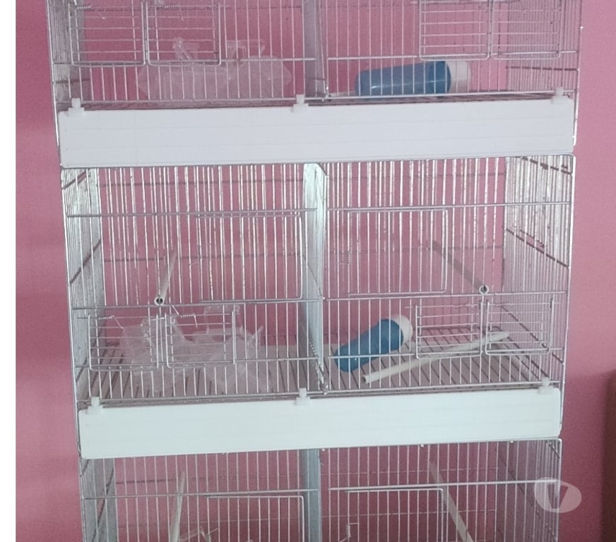 Services, accessoires animaux Alpes-Maritimes Nice - Photos Vivastreet 3 cages de reproductions