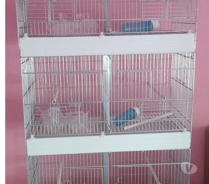 Services, accessoires animaux Nice Nice - Photos Vivastreet 3 cages de reproductions