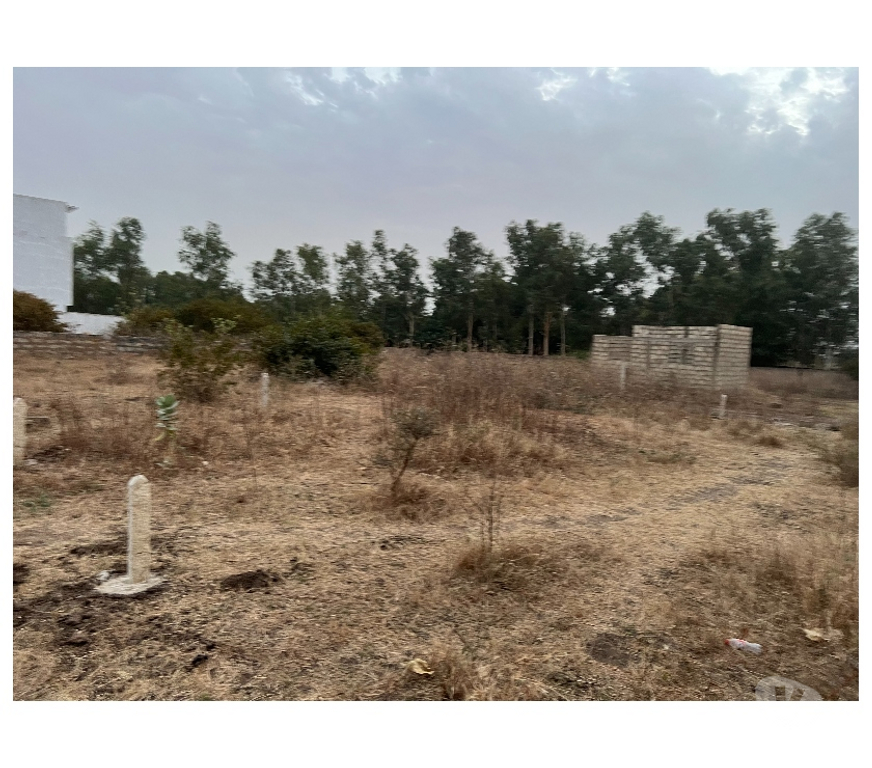 Terrain à vendre Sénégal - Photos Vivastreet Terrain a vendre a Gandigal Mbour