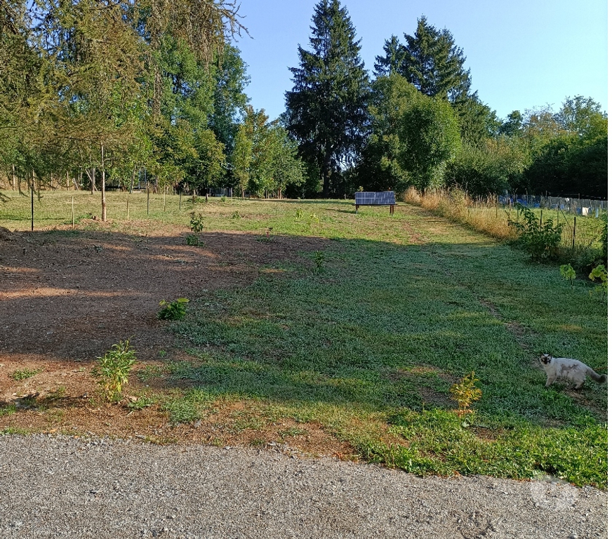 Vente Maison Puy-de-Dôme Giat - 63620 - Photos Vivastreet Maison à rénover entièrement