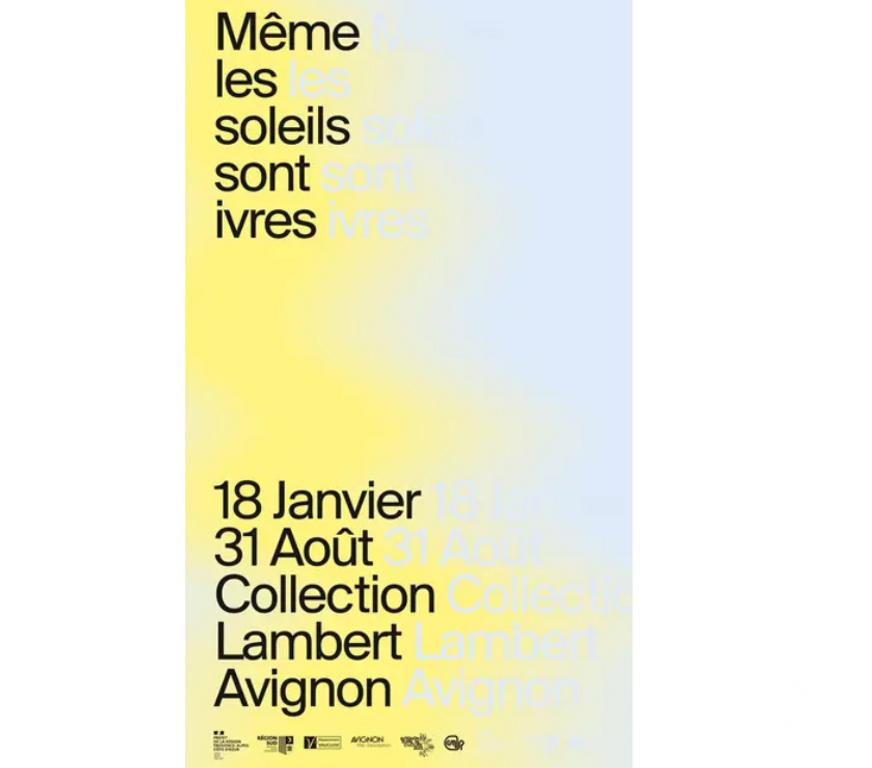 Spectacles Vaucluse Avignon - 84000 - Photos Vivastreet 2 billets pour la Collection Lambert à Avignon