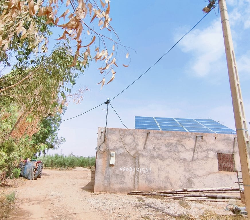 Vente Terres Agricoles Maroc - Photos Vivastreet Ferme d'oliviers en pleine production