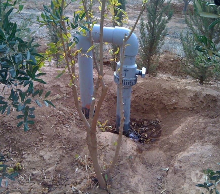 Vente Terres Agricoles Maroc - Photos Vivastreet Ferme d'oliviers en pleine production