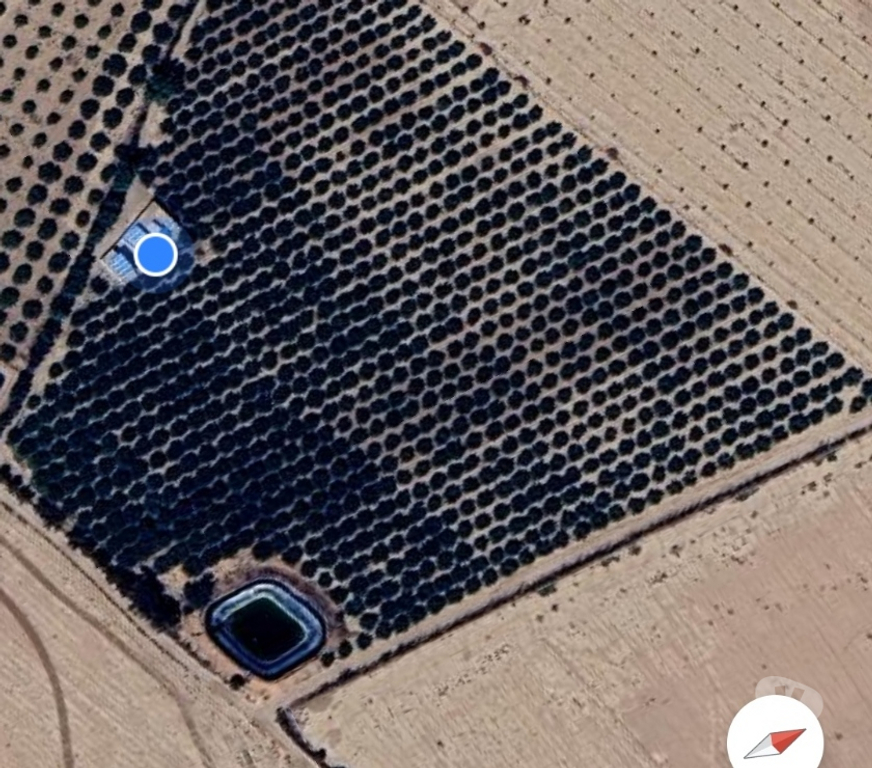 Vente Terres Agricoles Maroc - Photos Vivastreet Ferme d'oliviers en pleine production