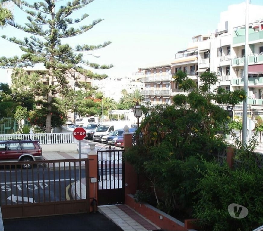 location saisonniere Espagne - Photos Vivastreet Appartement à louer - Los Cristianos
